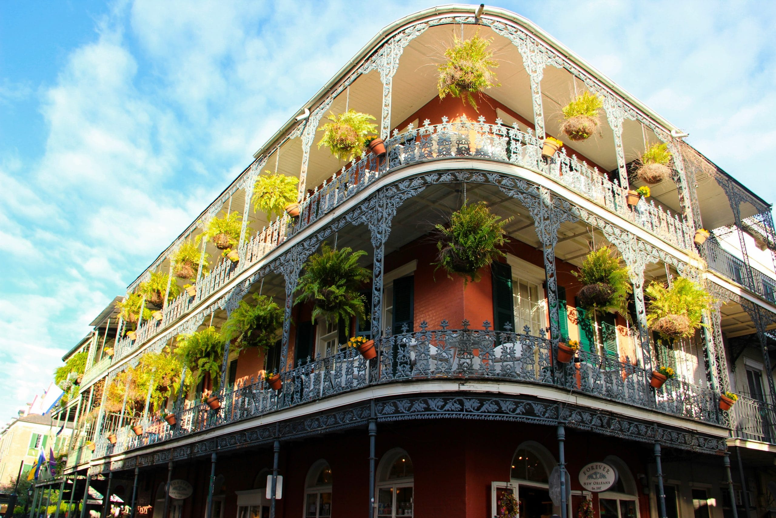 Best Day Trips in Louisiana: Bayous, Small Towns & Hidden Gems