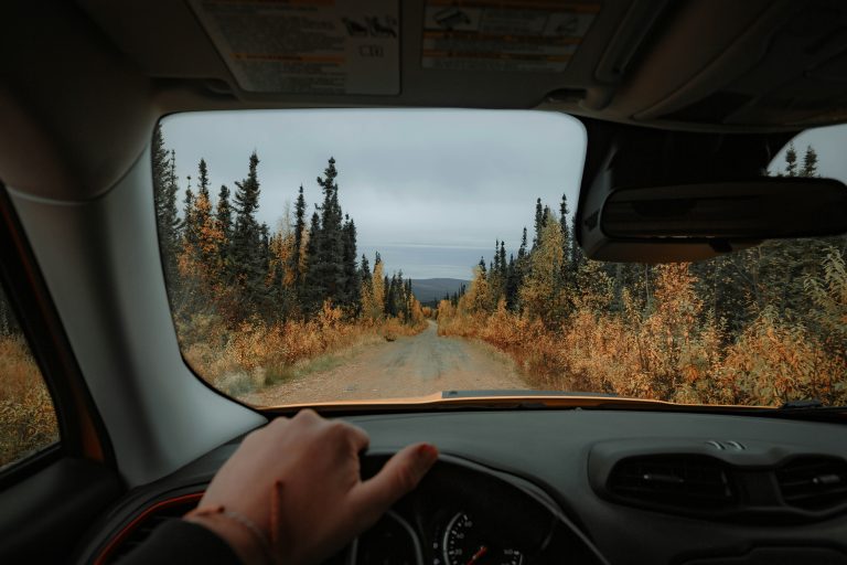 Day trip in Alaska