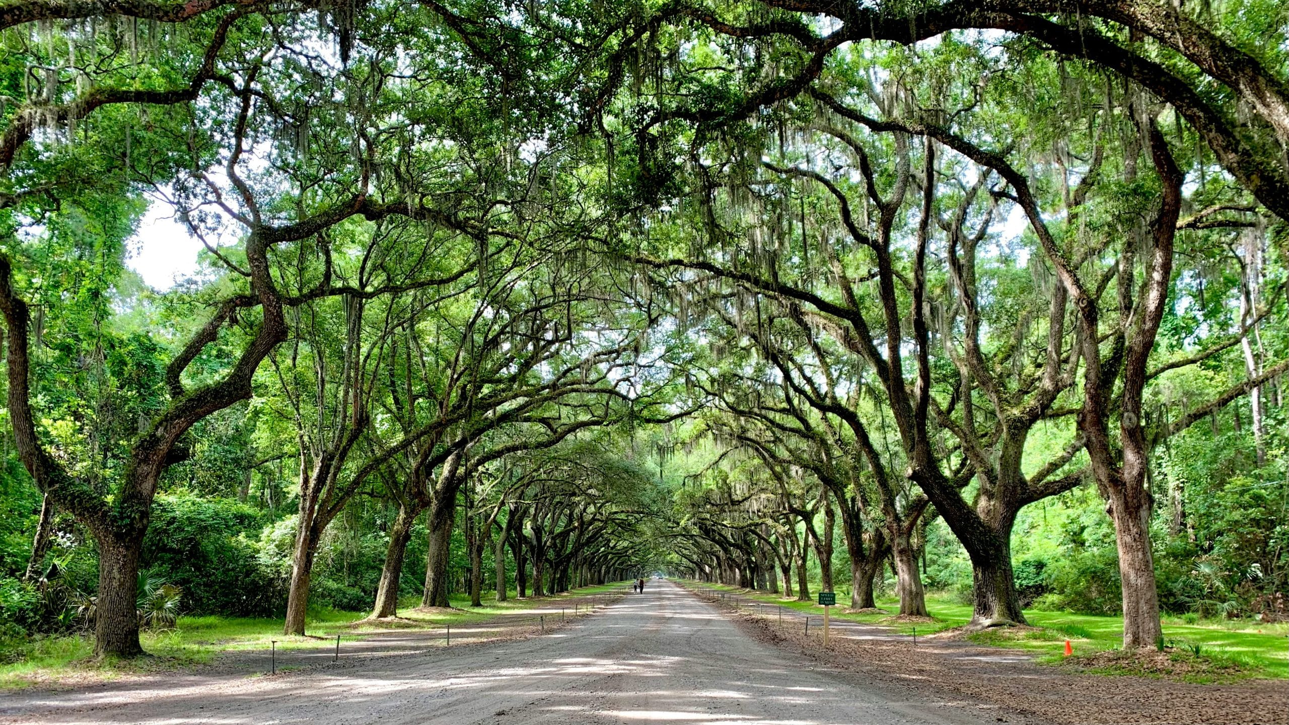 Best Day Trips in Georgia: Mountains, Small Towns & Hidden Gems