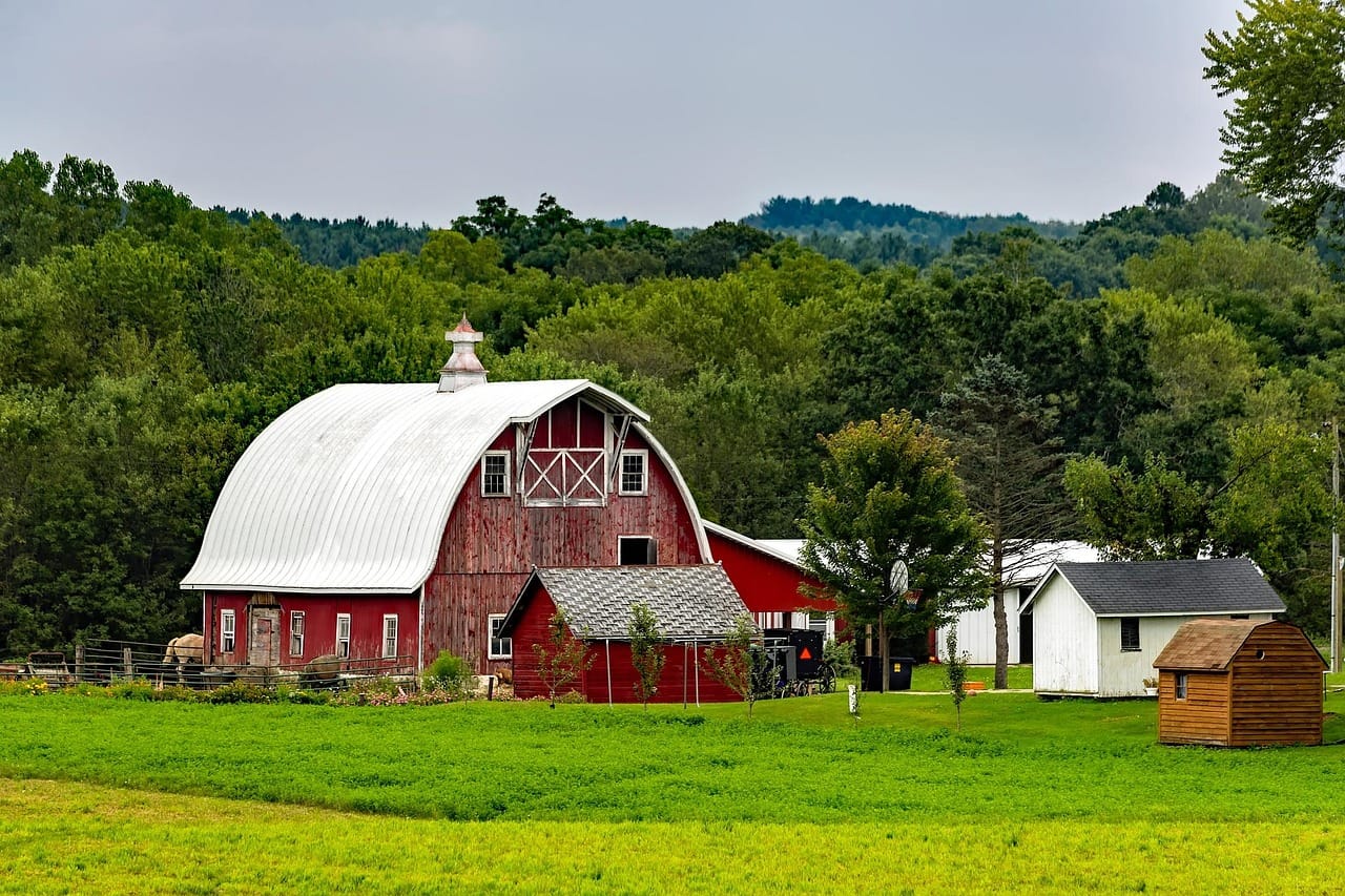Day Trips in Wisconsin: Local’s Guide to Must-Do Adventures