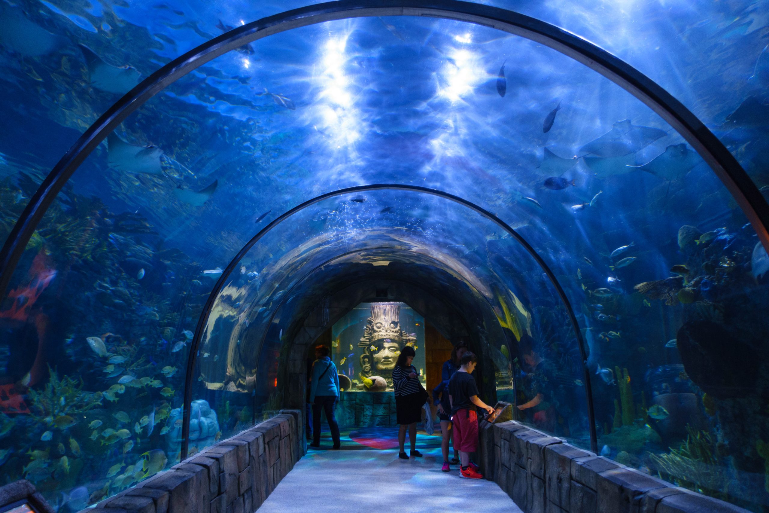 a work by Gary J. Wood, Audubon Aquarium of the Americas