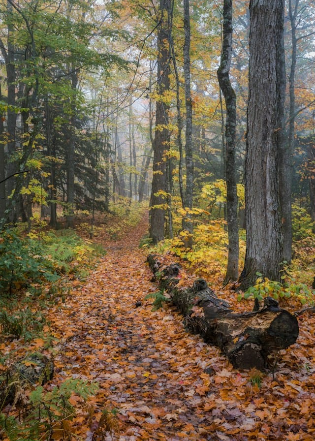 Porcupine Mountains
