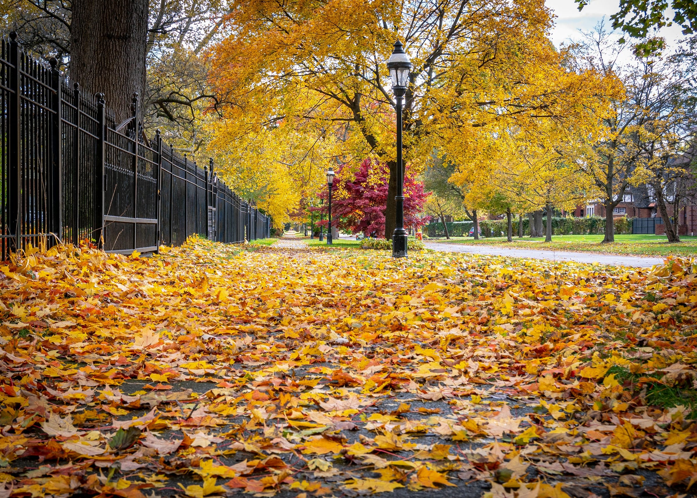 15 Detroit-Area Fall Day Trips Worth Taking Before the Snow Flies