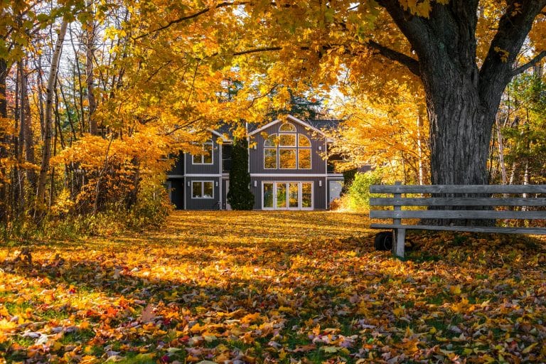The Ultimate Guide to Seeing Fall Colors in Michigan