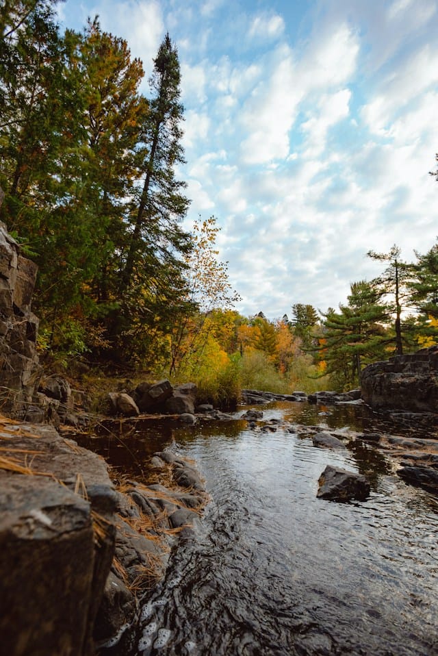 Minnesota