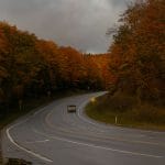 Michigan fall colors