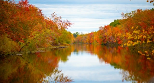 Michigan