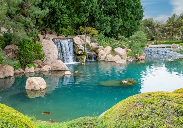 Japanese Garden