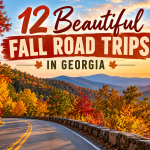 12 Beautiful Fall Road Trips in Georgia