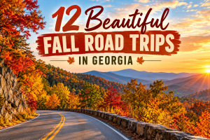 12 Beautiful Fall Road Trips in Georgia