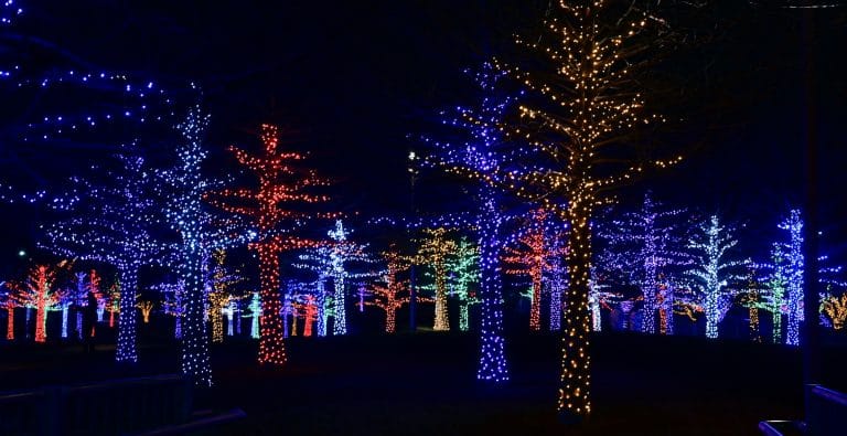 Best Christmas Lights in Arizona: 2026 Holiday Lights Guide