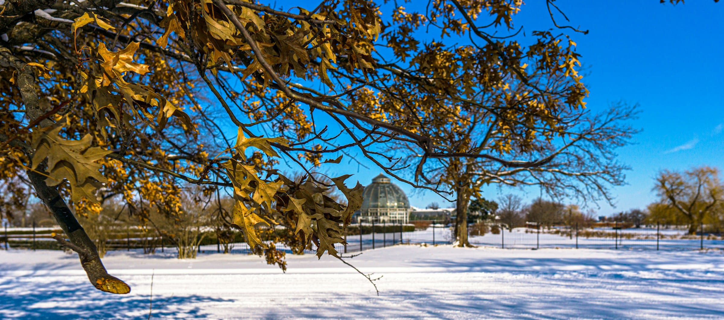 Things to Do in Metro Detroit in December: Christmas Lights, Holiday Traditions & Winter Fun