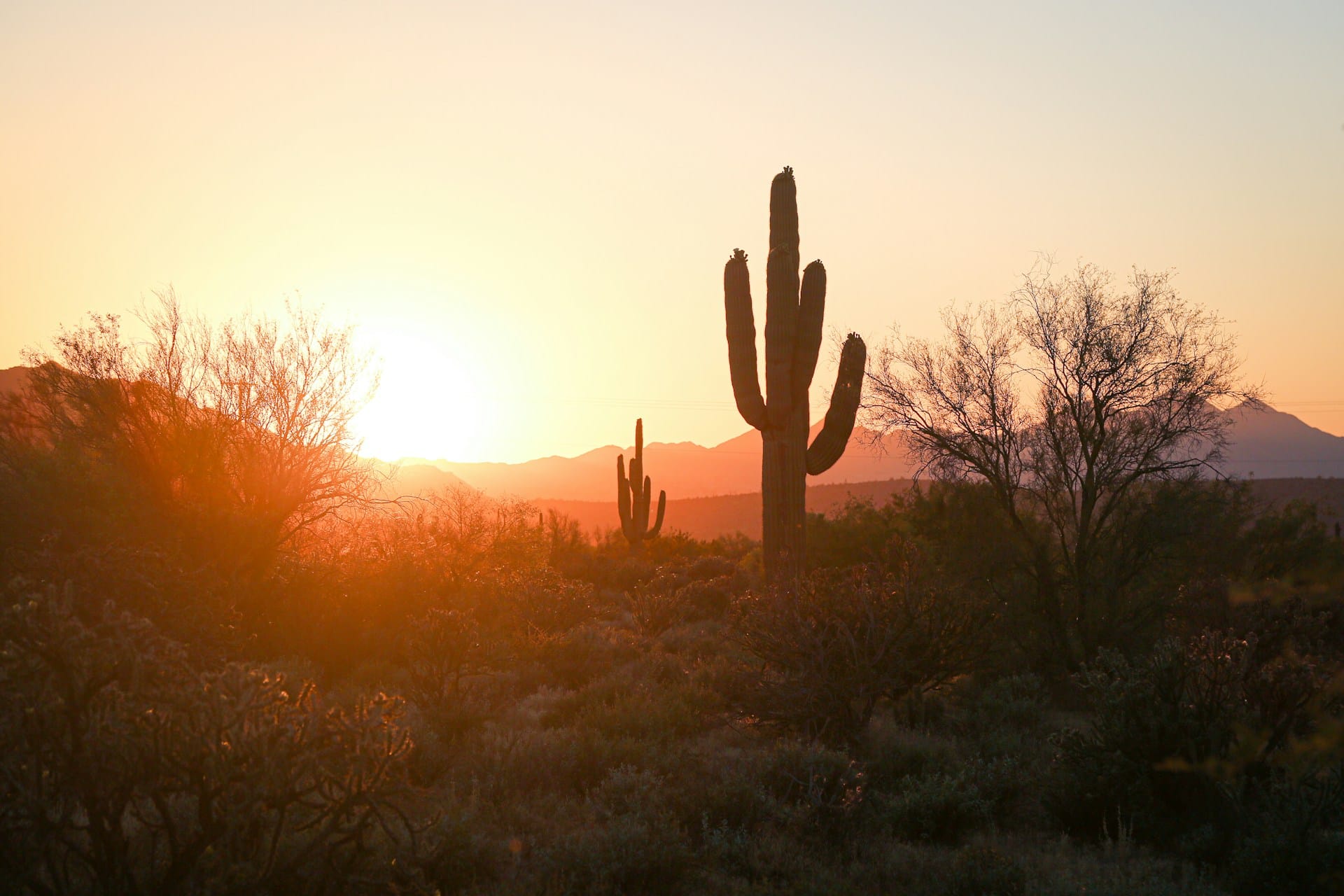12 Hidden Gems Around Phoenix Worth the Drive