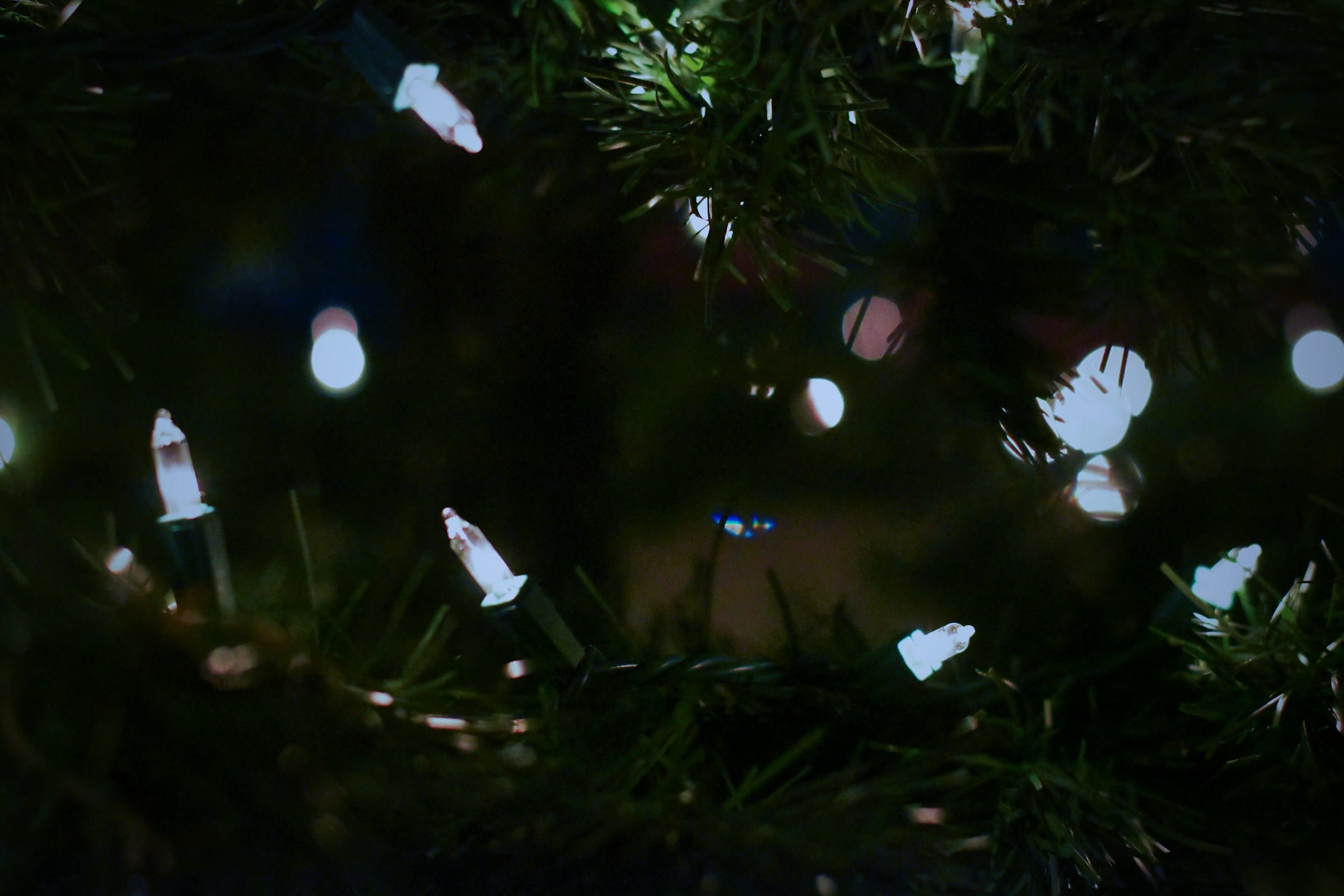 Best Christmas Lights in Oregon: 2026 Holiday Lights Guide